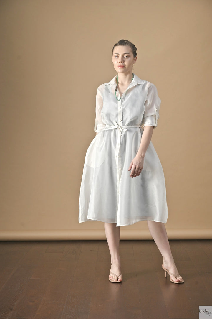 Frou-Frou, Organza Silk Coat Dress with Turquoise Lycra fitted Dress - kinchecom